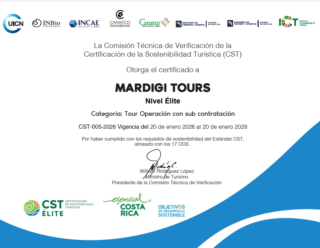 CST Elite Certificate